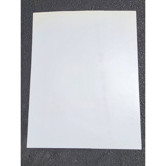 Jeff Gordon Pepsi Racing Plastic Poster Star Wars #24 Arlington Park 2005 - Picture 10 of 13